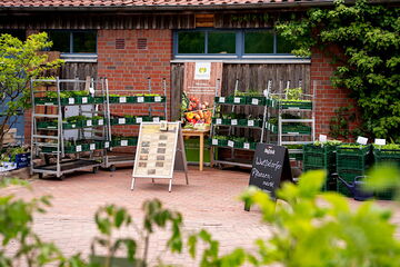 Jungpflanzenverkauf vor dem Hofladen