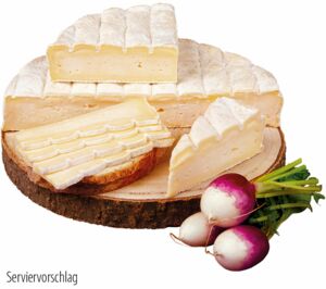 Vallée Verte, Brie Montsurs, französischer Bio-Weichkäse