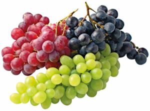 kernlose Bio-Trauben, verschiedene Sorten, weiß, rot, blau
