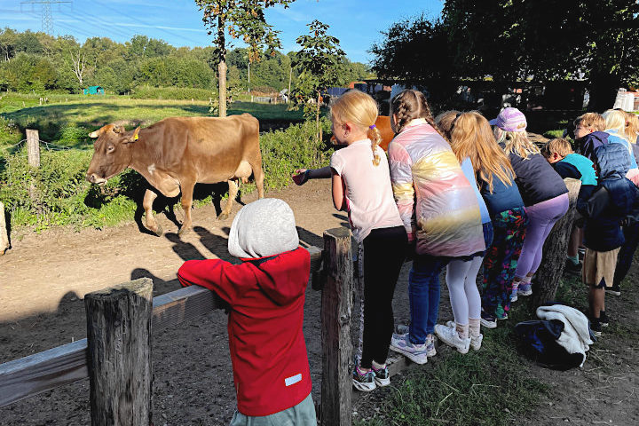 Umweltbildung beim Lernort Gut Wulfsdorf